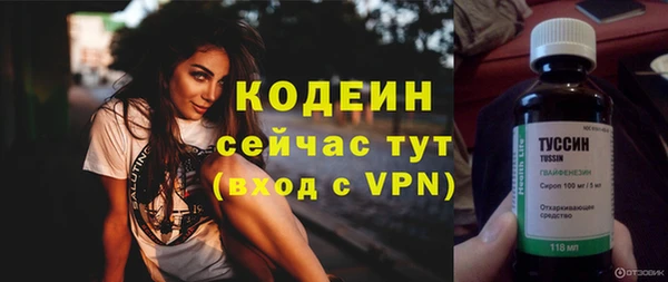 крисы Новокубанск