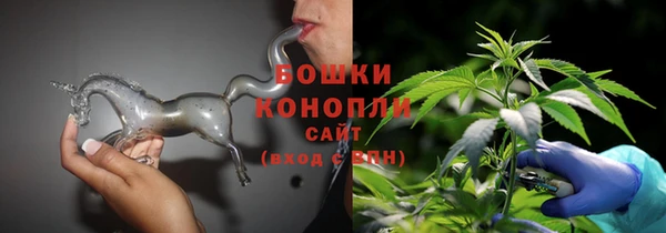 ALPHA-PVP Новозыбков
