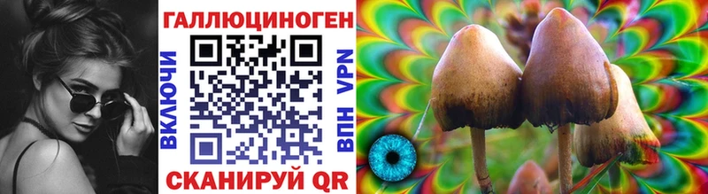 где продают наркотики  Шахты  Галлюциногенные грибы Cubensis 
