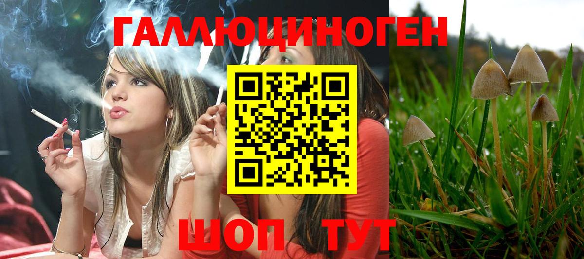Псилоцибиновые грибы прущие грибы Шахты