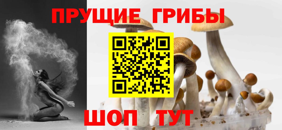 Шахты  Галлюциногенные грибы MAGIC MUSHROOMS  Вход с VPN 